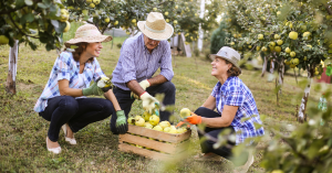 Freshlogic presents fresh produce market data regarding current insights. Image is of three people crouched over a basket of fruit smiling in an orchard.